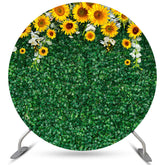 Sonnenblume Mit Grün Blätter Kreis Hochzeit Hintergrund